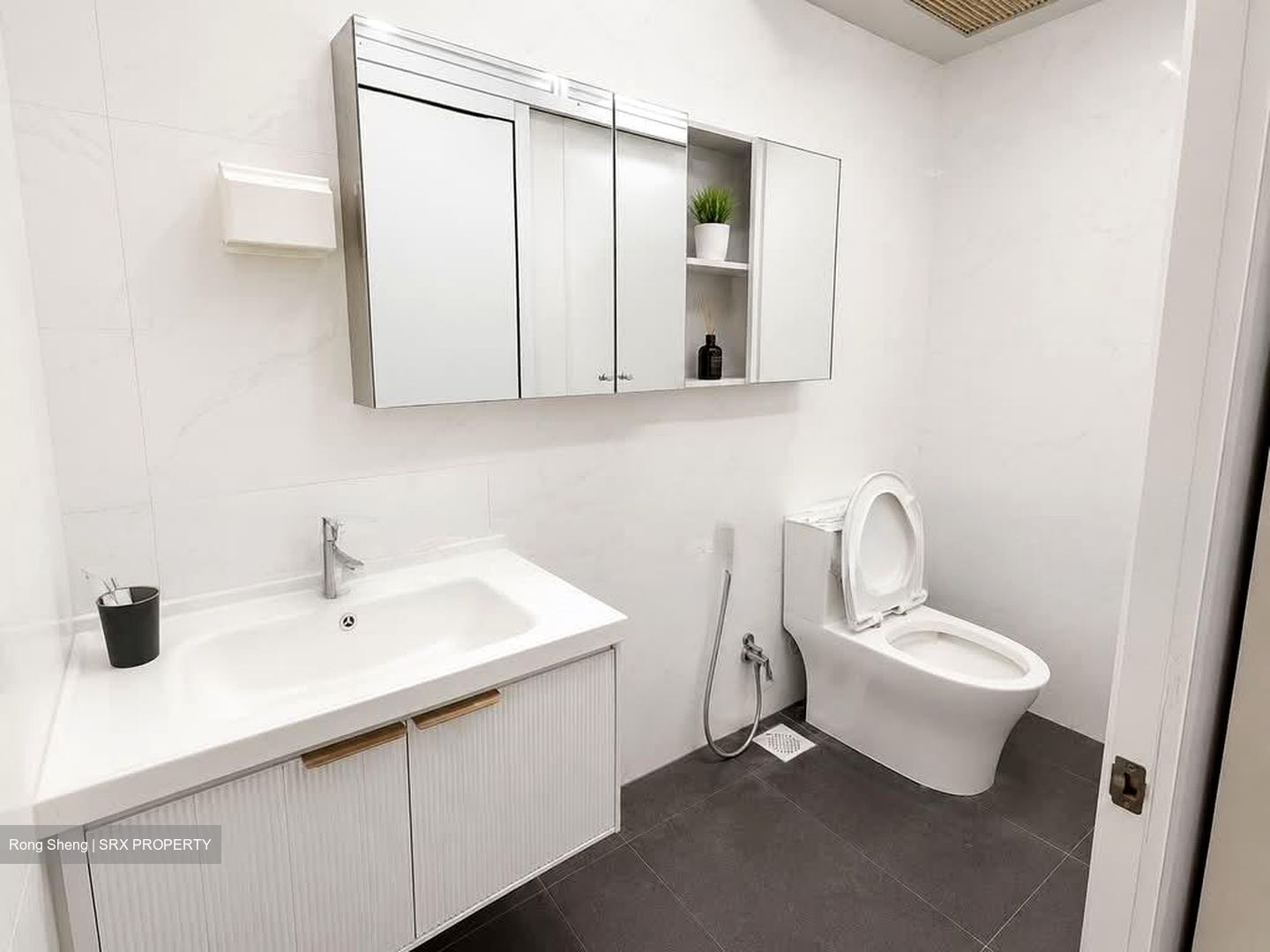 Ridgewood (D10), Condominium #565110111
